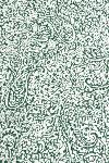 Torchon de cuisine 45 x 75 cm motif Gargas couleur Verte